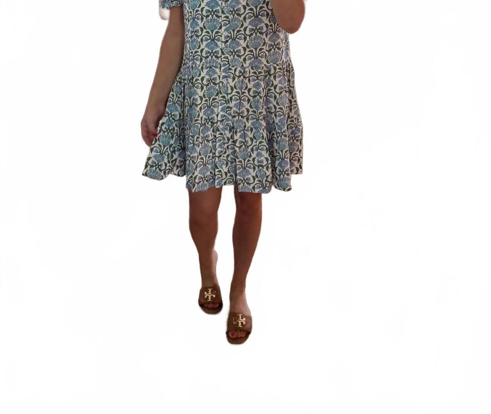 NEW TCEC floral whimsy mini dress in blue